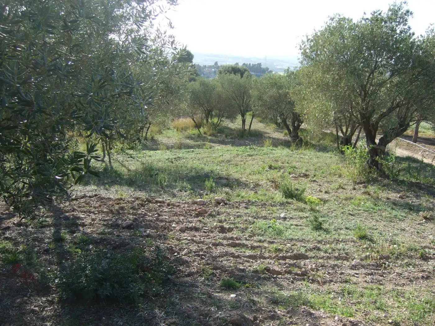 Residential land for sale in Castellbisbal, imagen 11
