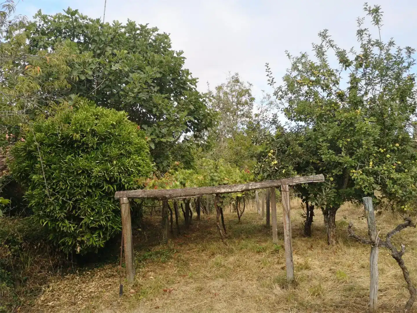 Finca rústica en venda en Vila de Cruces