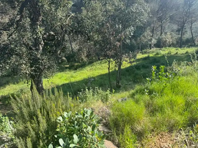 Residential land for sale in Ferrers, imagen 13