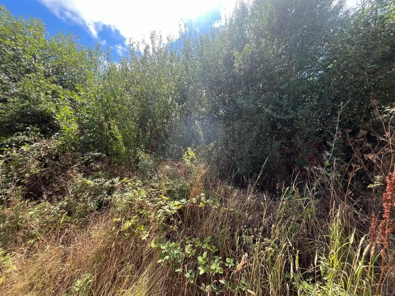 Houses for sale in Calle Arriba, Humada