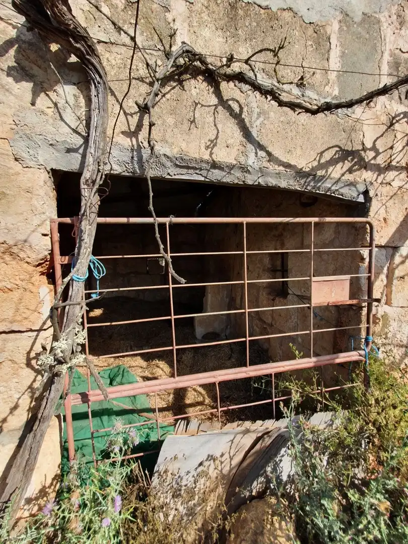 Finca rústica en venda en Santa Margalida