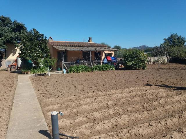 Terreno en Venta en La Punxa