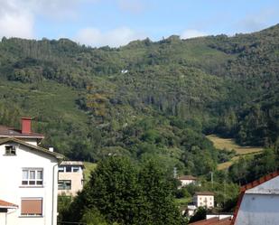Vista exterior de Casa o xalet en venda en Mendaro