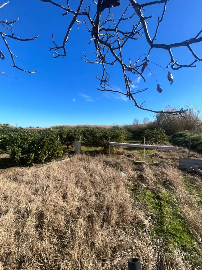 Finca rústica en venta en Calle San Miguel, 16, Massalavés