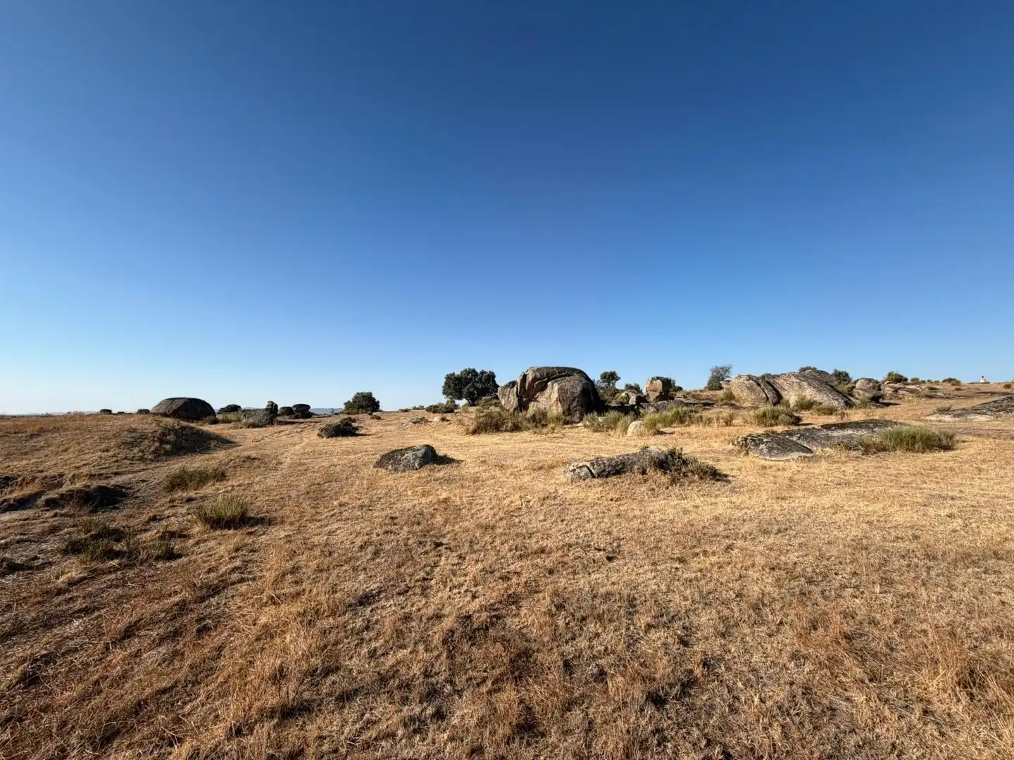 Terreno rustico in vendita a Malpartida de Cáceres, imagen 14