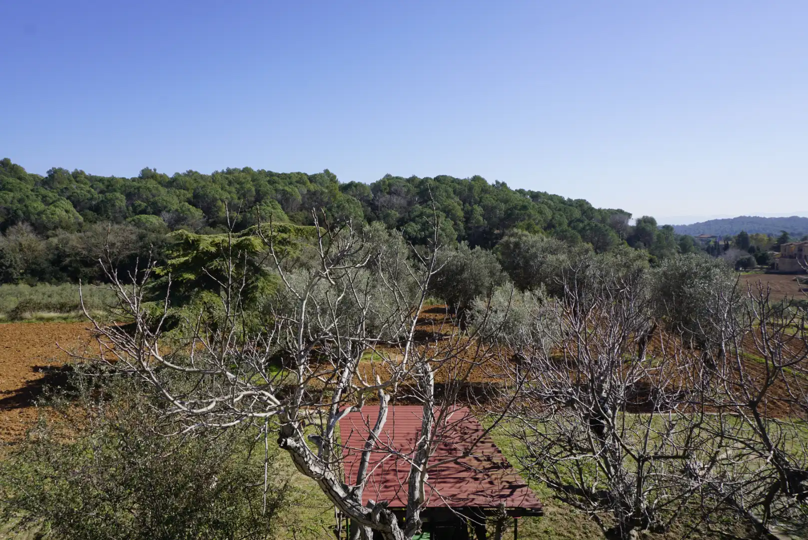 Casa rústica con terraza en venta en El Bruc, imagen 67