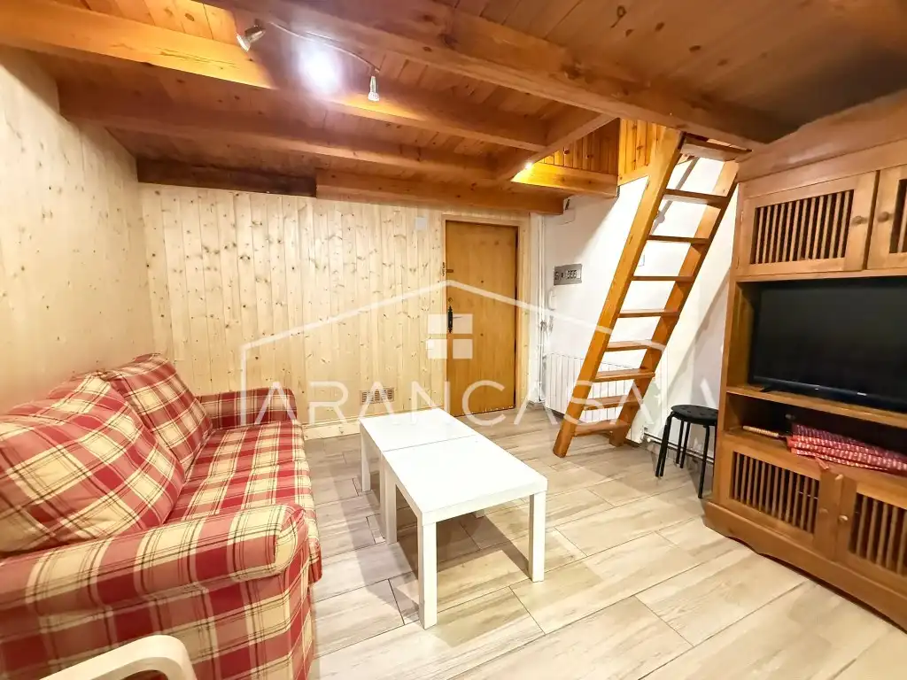 Apartments for sale in Avengunda deth Pas d'Arró, Vielha