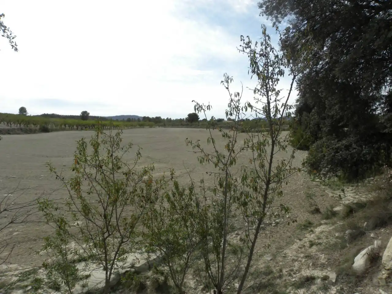Terreno residencial en venta en Caravaca de la Cruz, imagen 10