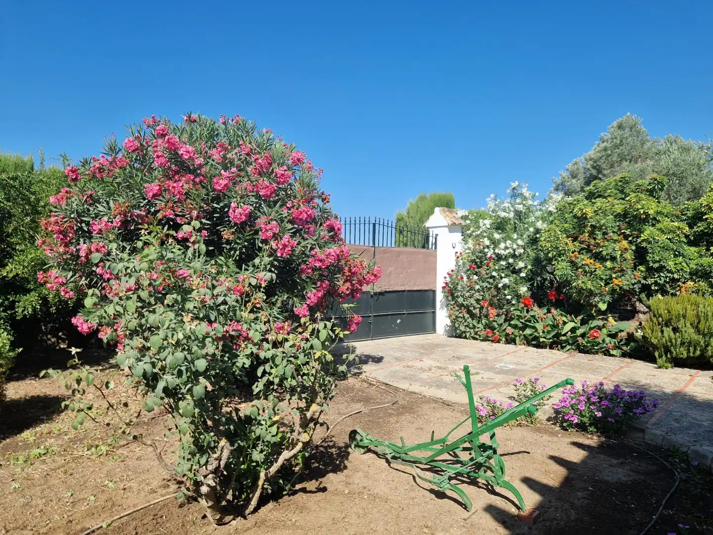 Jardín de Finca rústica en venta en Jerez de la Frontera con Aire acondicionado, Calefacción y Piscina