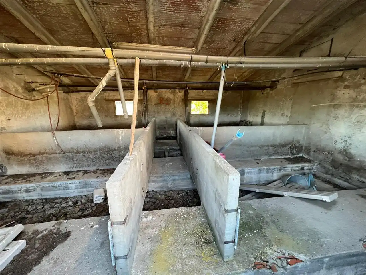 Nave industrielle à vendre à Proc. Simplificado, imagen 4