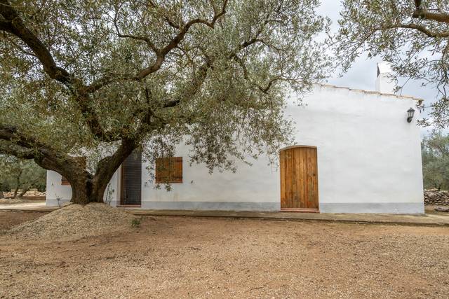 Terreno en Venta en Camí de les Codines, 63 en Jesús - Els Reguers