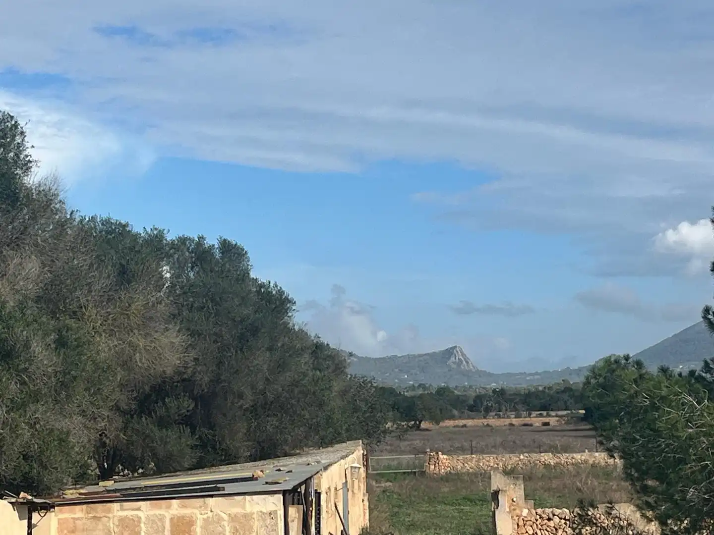 Finca rústica en venta en Llucmajor pueblo
