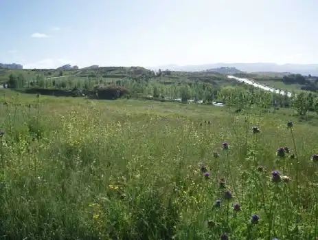 Wohnbaugrundstück zum Verkauf in Camino Ancho