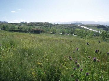 Wohnbaugrundstück zum Verkauf in Camino Ancho