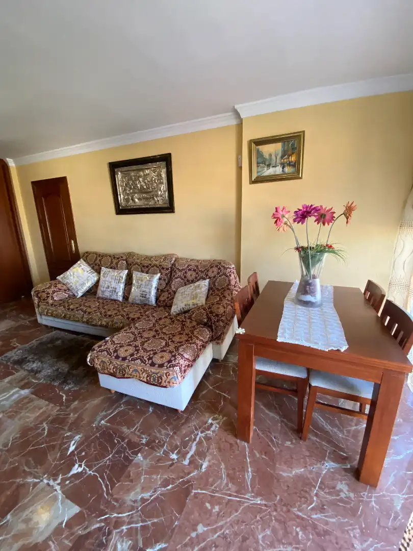 Wohnzimmer von Wohnung zur Miete in Málaga mit Klimaanlage, Terrasse und Möbliert