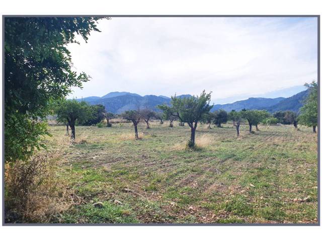 Terreno en Venta en 17, Sn en Selva