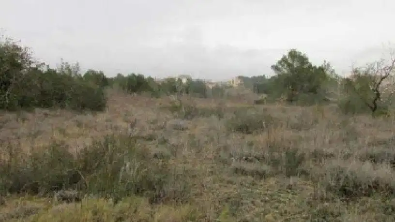 Rural land for sale in Valls, imagen 2