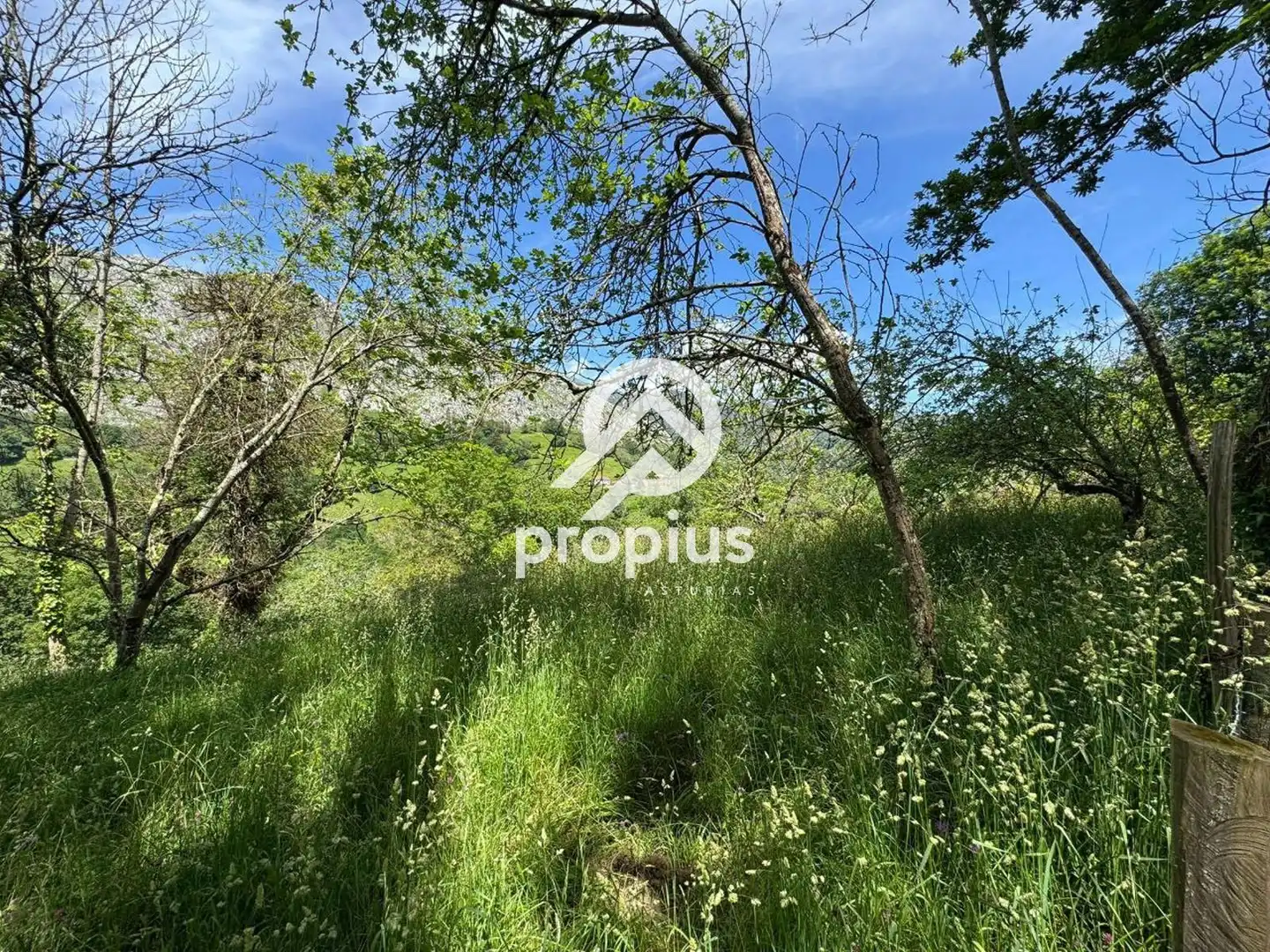 Rural land for sale in ARRIONDAS, imagen 20