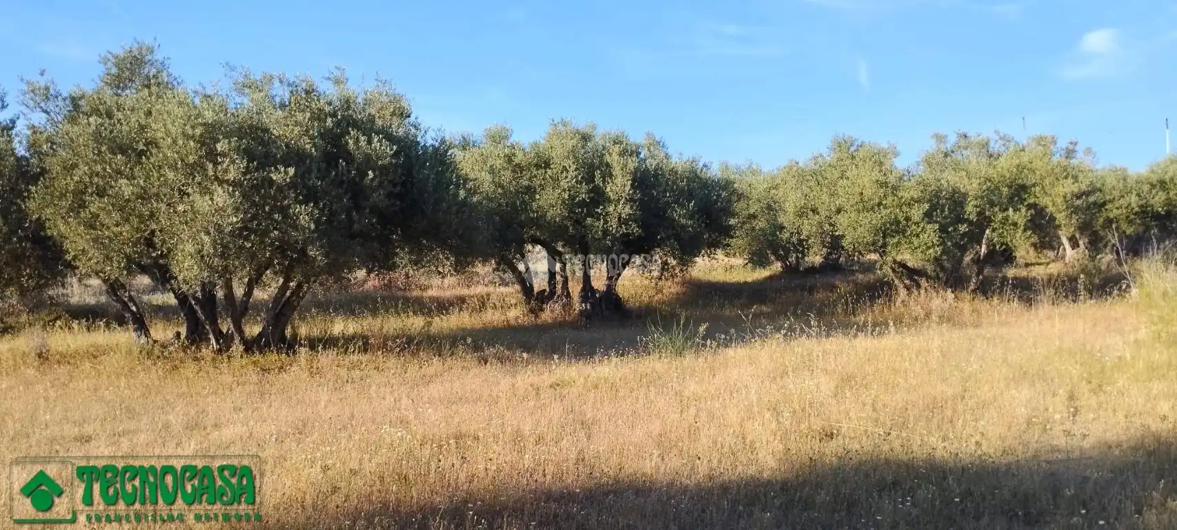 Terreni e lotti in vendita a Méntrida, imagen 3
