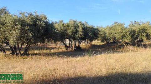 Terrenos en venta en Méntrida, immagine 3