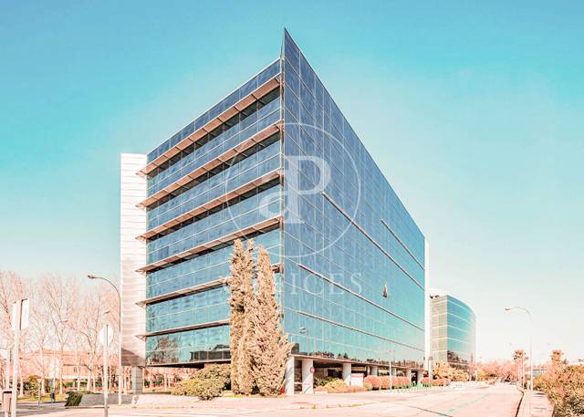 Oficina en Alquiler en C. del Eucalipto en Hispanoamérica - Bernabéu