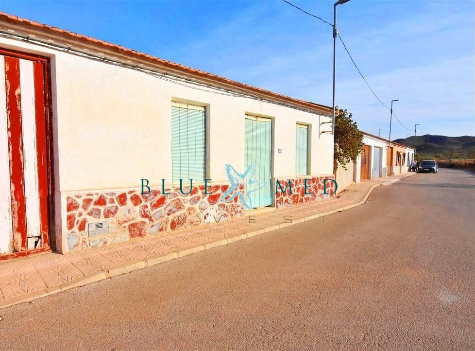 Exterior view of House or chalet for sale in Fuente Álamo de Murcia  with Heating, Private garden and Terrace