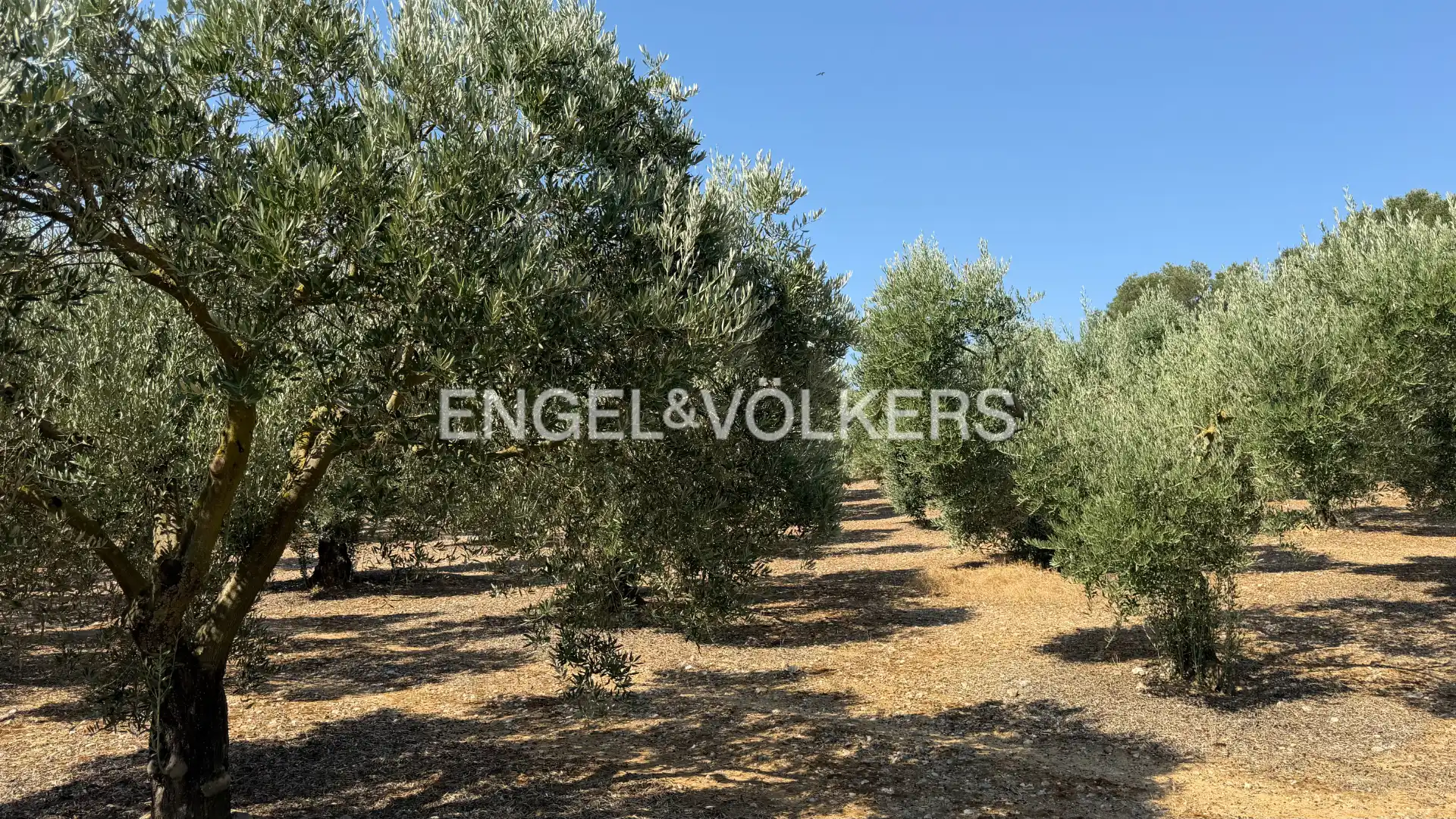 Land for sale in Pedret i Marzà
