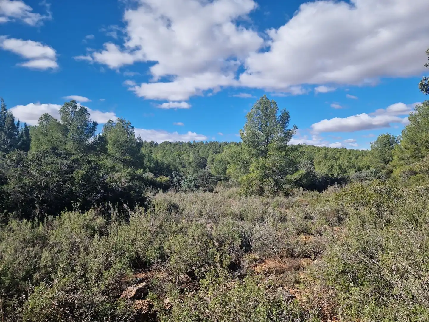 Rural land for sale in Pantano de Peñarroya 0, imagen 46