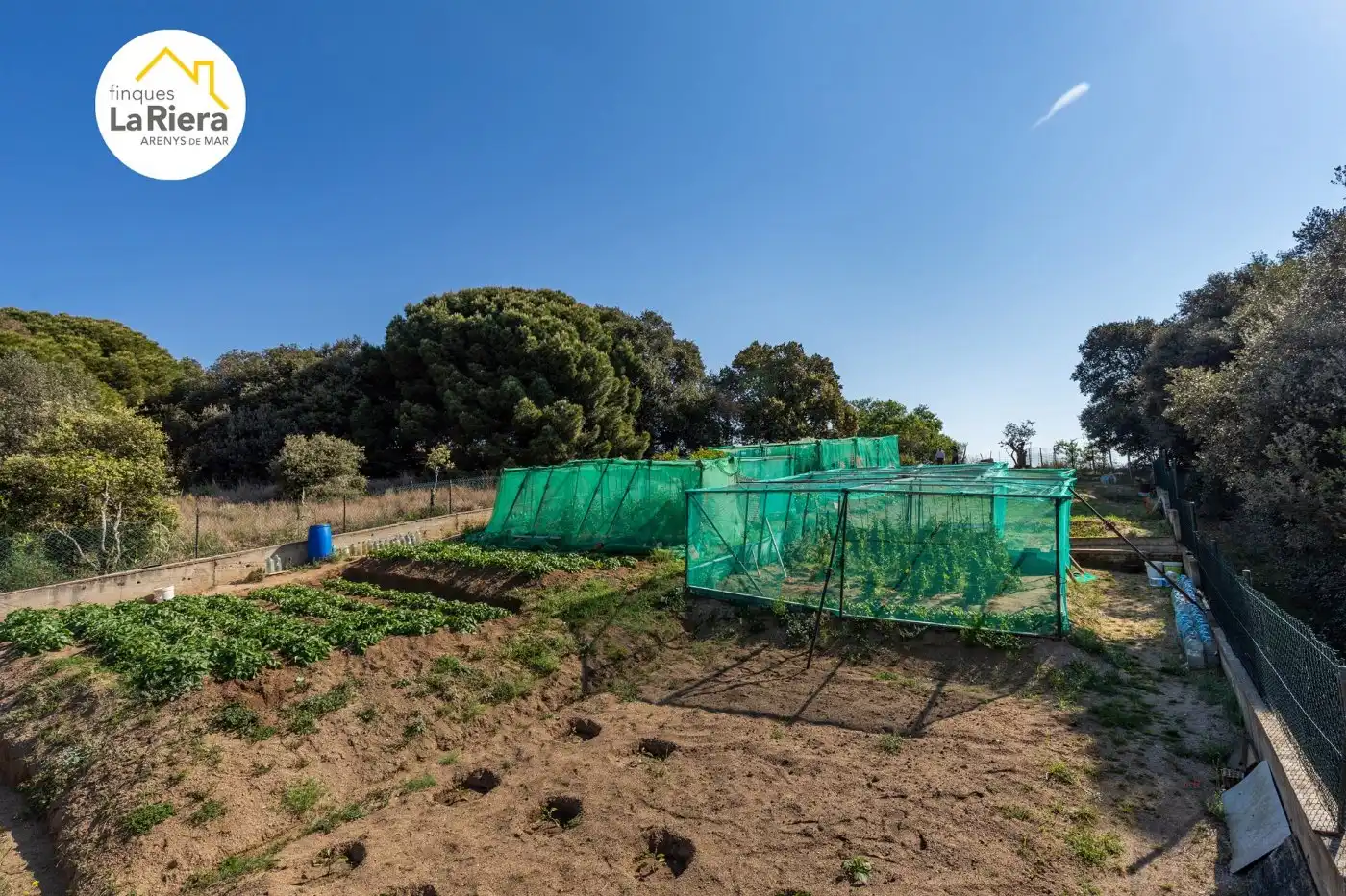 Garden of Residential for sale in Arenys de Mar
