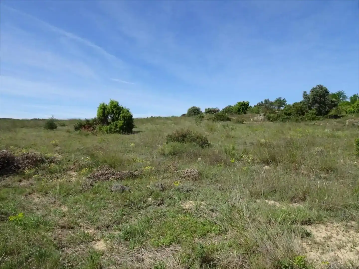 Land for sale in Batea