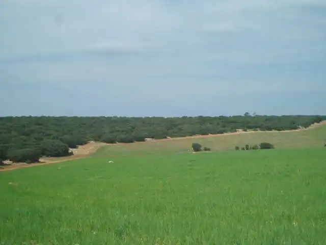 Terreni e lotti in vendita a Motilla del Palancar