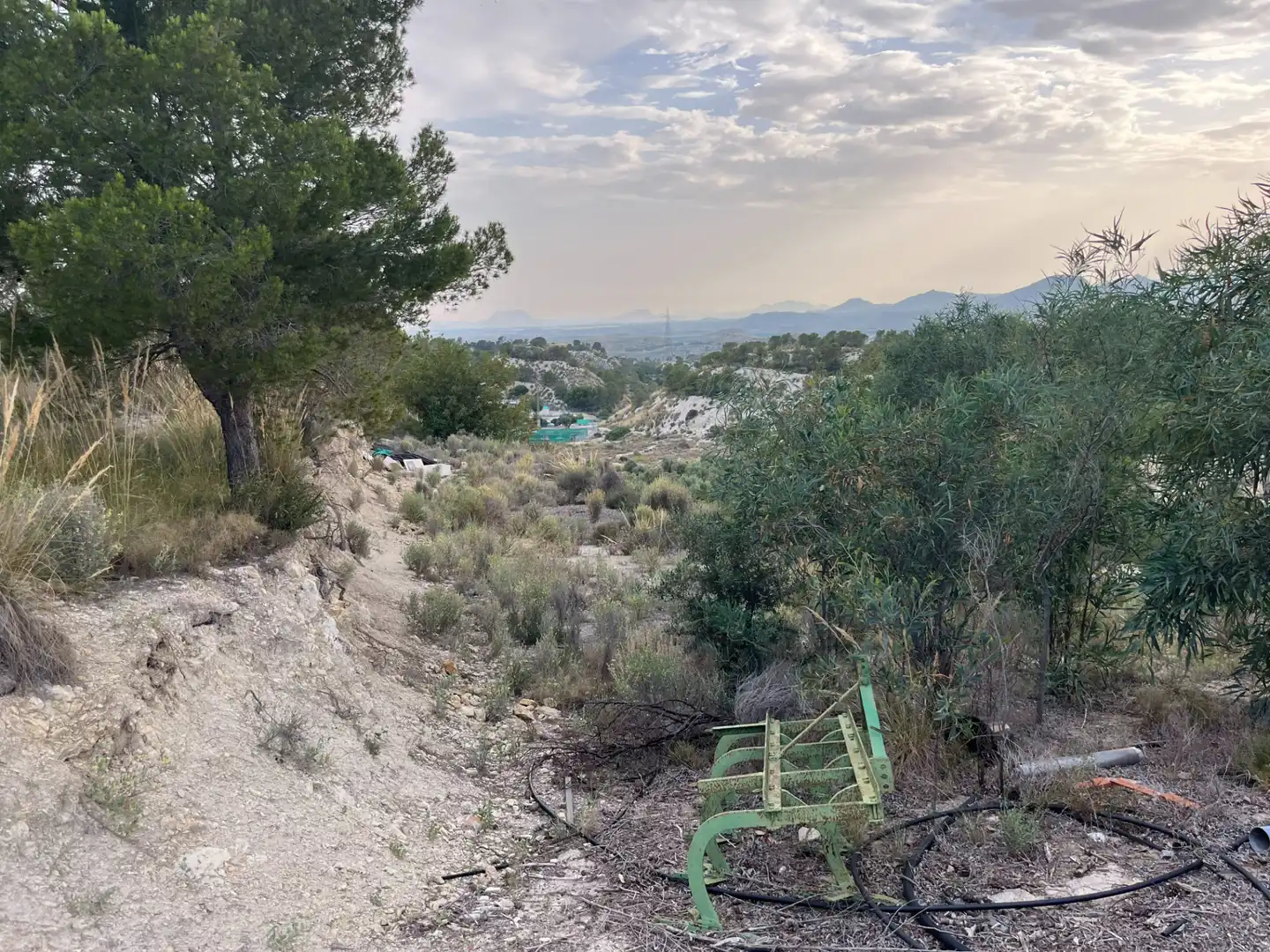 Finca rústica en venta en Busot