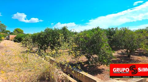 Photo 4 of Land for sale in Polígono 14, 292, Corralet - Bonanza - Tres Rutas, Náquera