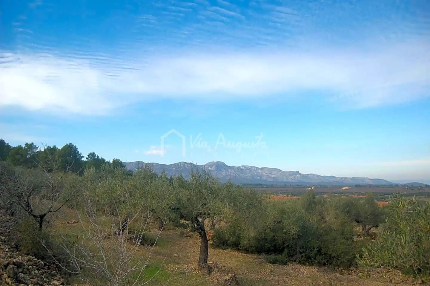 Terreno rustico in vendita a Burgar, imagen 21