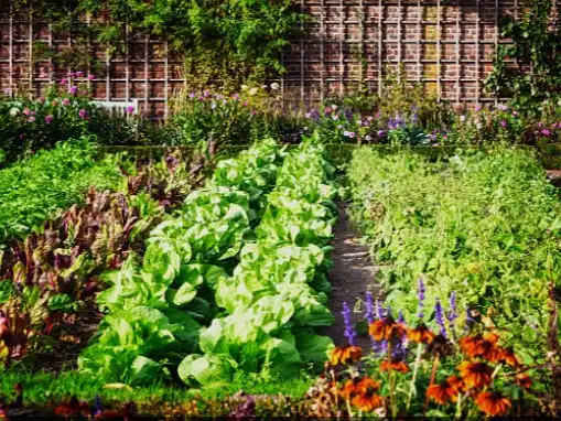 Garten von Grundstücke zur Miete in Tarragona