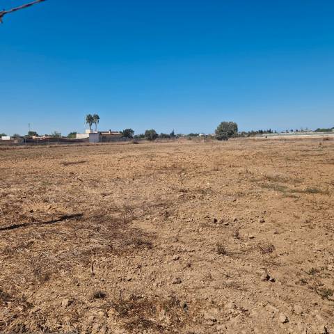Terreno en Venta en Carretera Pista de Montijo en Chipiona Norte