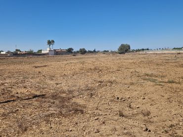 Terreno rustico in vendita a Carretera Pista de Montijo