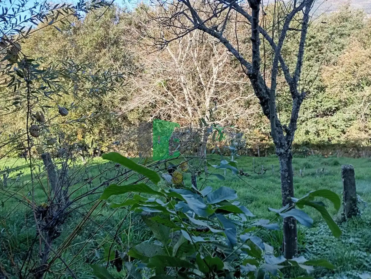 Casa o xalet en venda en Lobeira amb Jardí privat