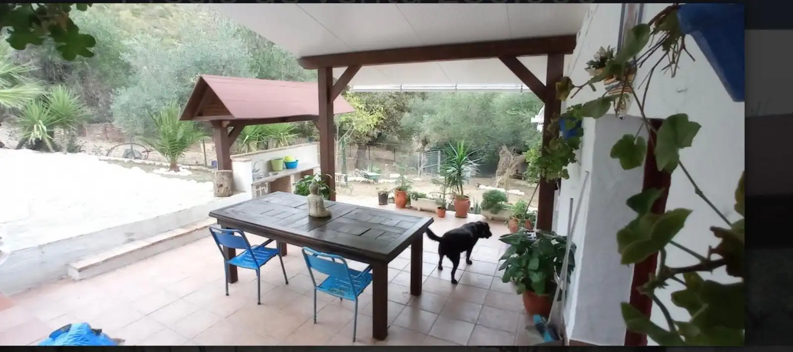 Terraza de Finca rústica en venta en Benaocaz