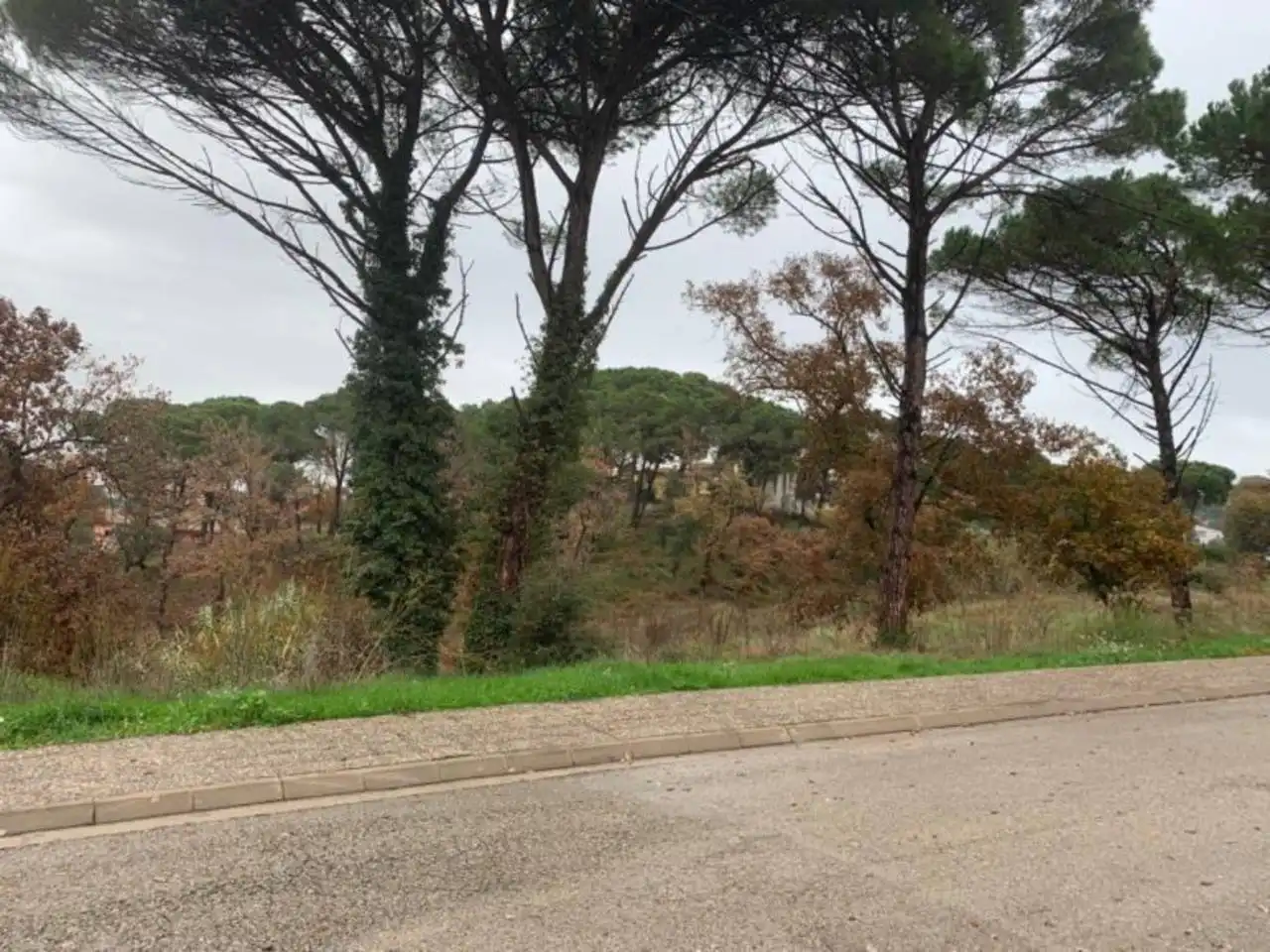 Terreny residencial en venda a Calle segria, imagen 4