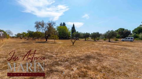 Photo 2 of House or chalet to rent in Avenida Campofrío II, Carretera de Sevilla - Los Montitos, Badajoz