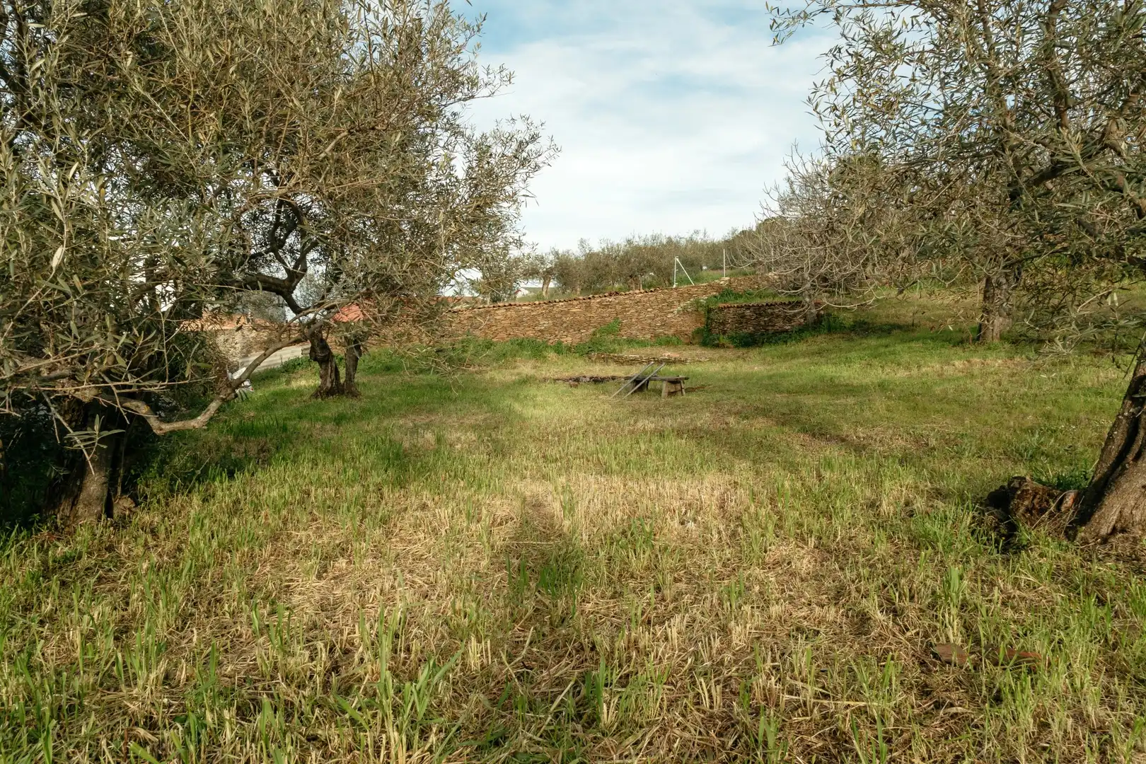 Terreni e lotti in vendita a Calle Pozo Nuevo 3, imagen 5