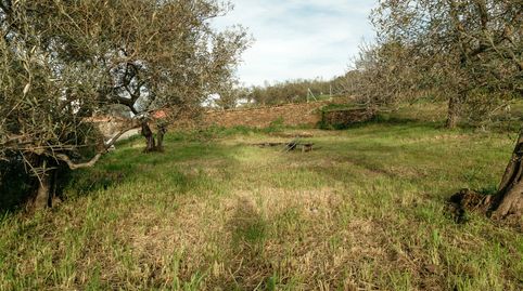 Venta de parcela en Ahigal, immagine 5