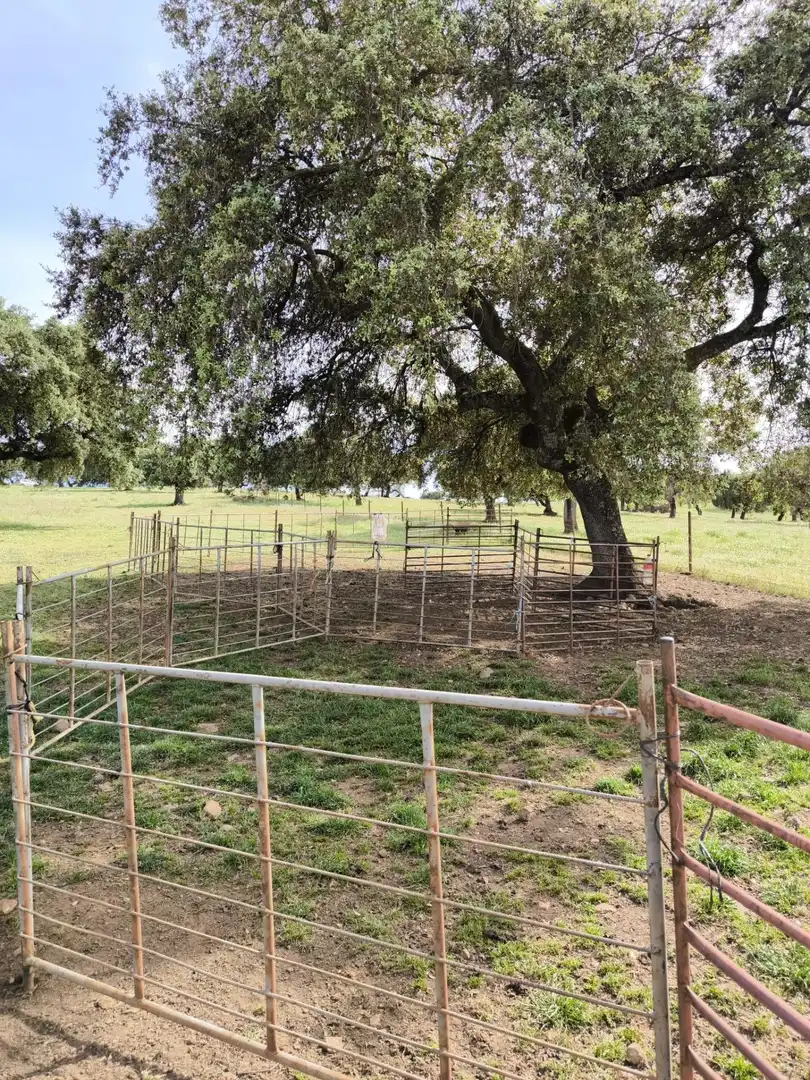 Rural land for sale in Fuente Obejuna, imagen 8