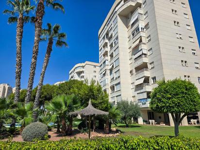 Vista exterior de Pis en venda en Alicante / Alacant amb Aire condicionat, Terrassa i Piscina