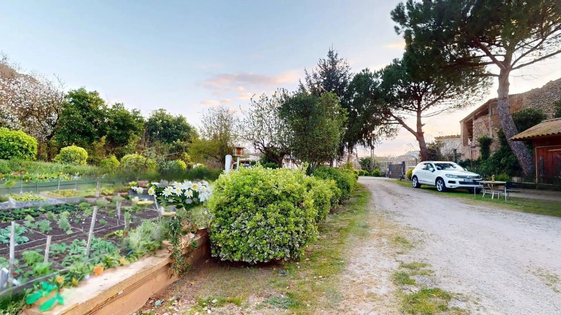 Casa o chalet en venta en Carme - Vistalegre