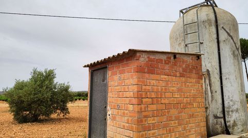 Finca Rúst. en venta en Carretera Moral., imatge 2