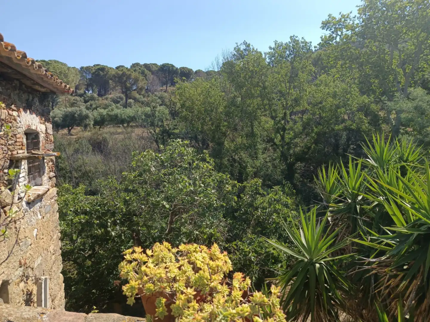 Jardín de Finca rústica en venta en Vilajuïga con Terraza, Trastero y Balcón