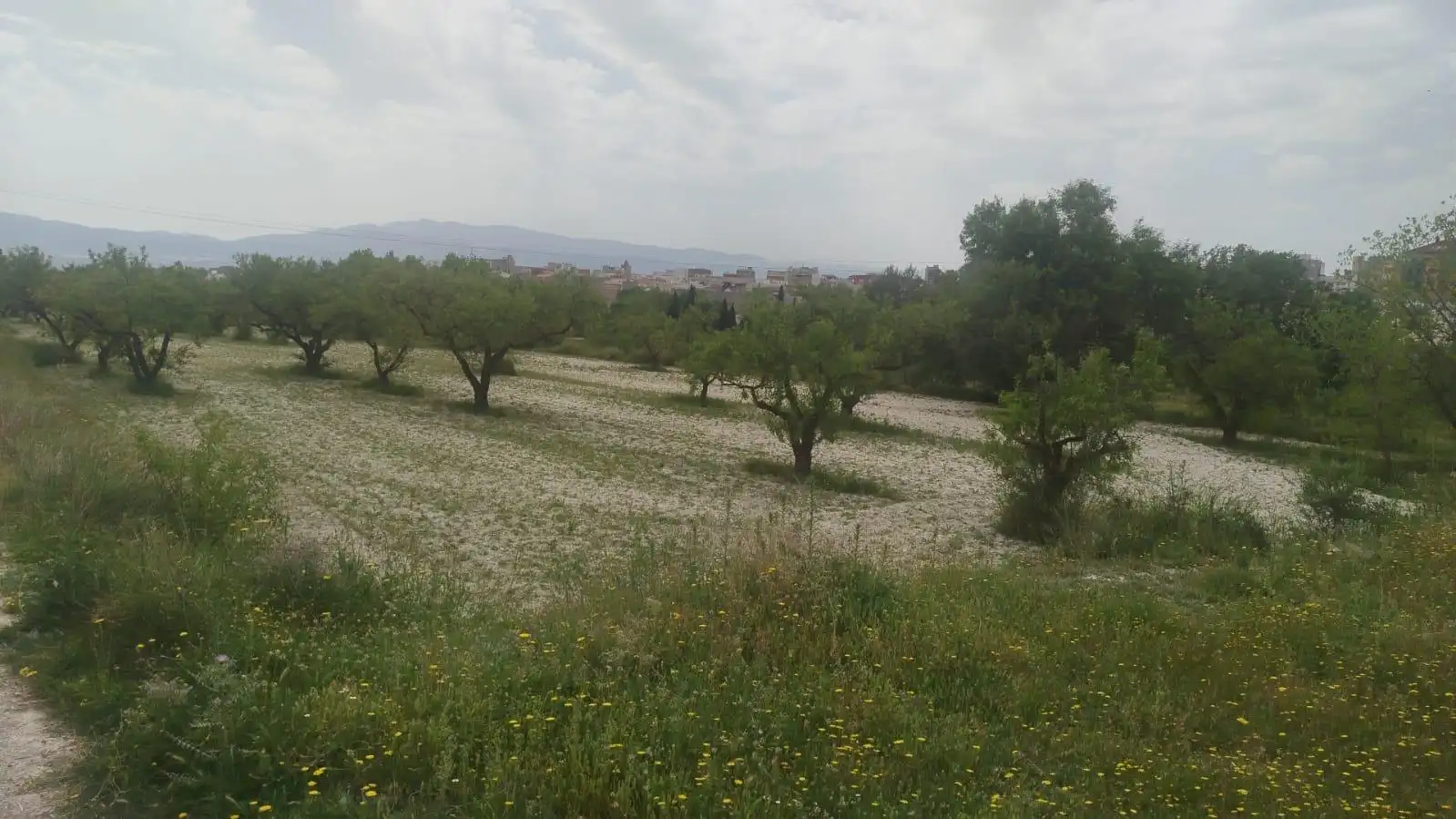 Terreno residencial en venta en L'Olleria, imagen 7