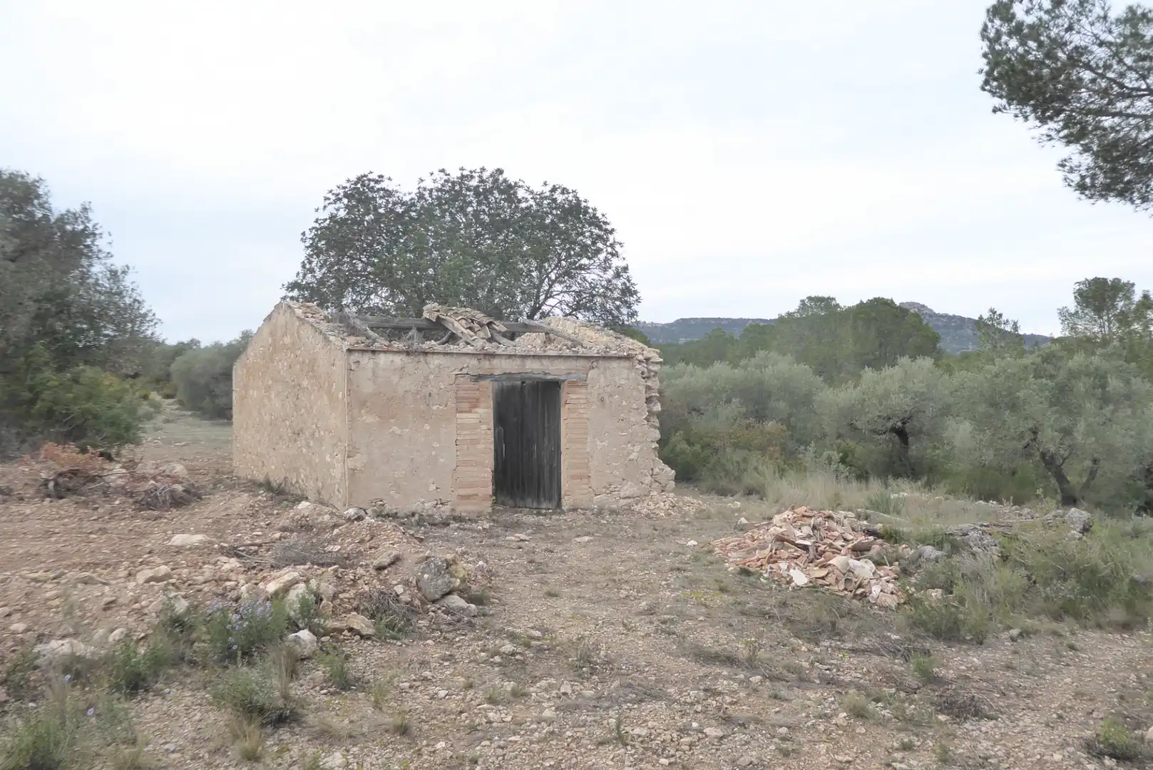 Rural land for sale in Benissanet, imagen 2